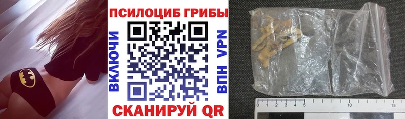 где купить наркотик  Правдинск  Галлюциногенные грибы прущие грибы 